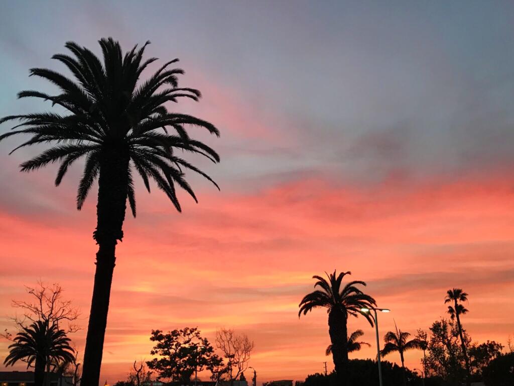 What Are Cali Packs?