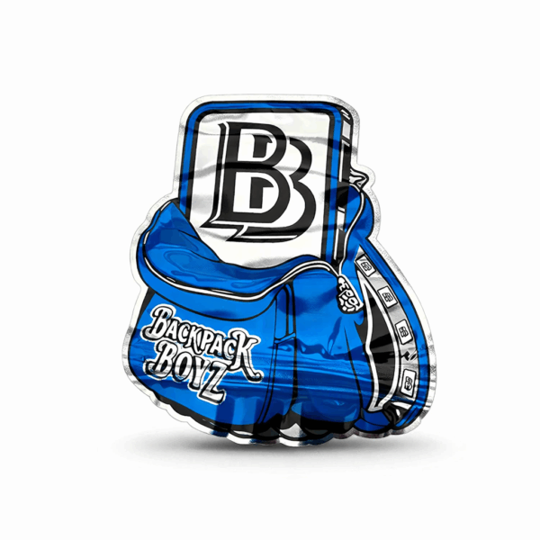 Backpack Boys Blue Mylar Bag